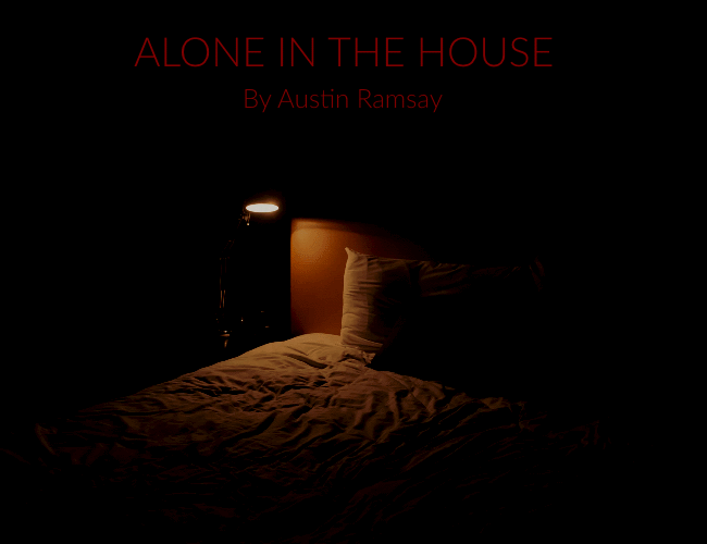 Alone In The House