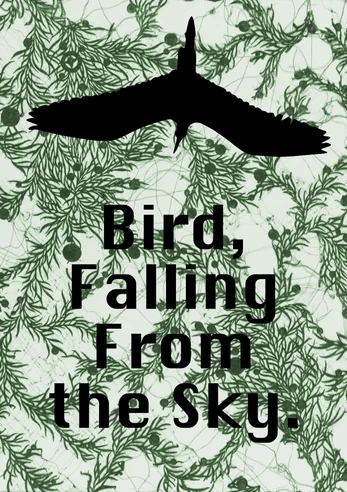 Bird, Falling From The Sky