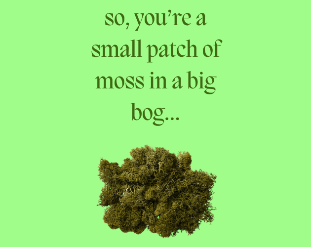 so, youre a small patch of moss in a big bog...